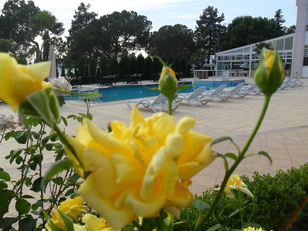 Grand Nicea Hotel Iznik Room photo